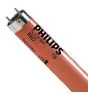 Philips MASTER TL-D 36W - Rood | 120cm